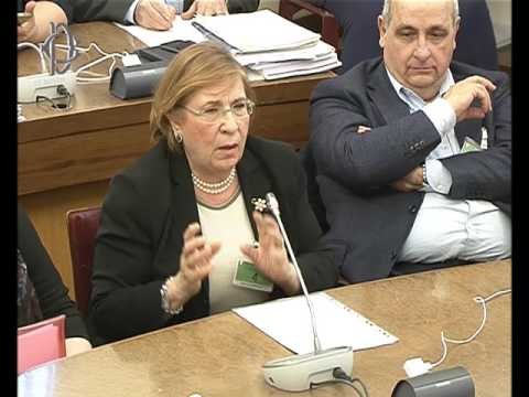 Roma - Impiego anziani in lavori di utilità sociale, audizione esperti (01.03.17)