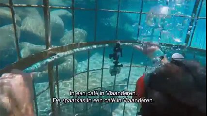 De Mol op Vier, Seizoen 5, aflevering 4 (S05E04), deel 2