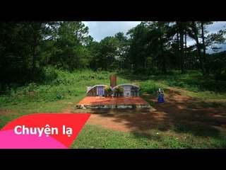 Sự tích đồi thông hai mộ ở Đà Lạt và câu chuyện tình cảm động