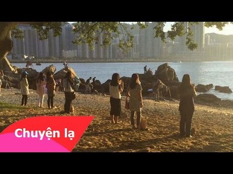 Chuyện lạ thế giới - Trào lưu nhìn chằm chằm vào mặt trời để giảm cân