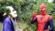 Iron To Face! Frozen Elsa Gets Hurt /w Joker, Spiderman Doctor Superheroes Fun IRL