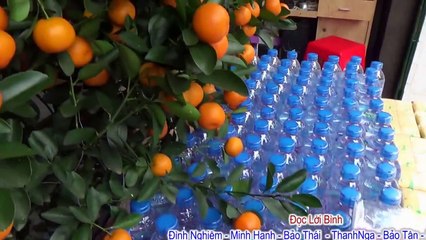 Du Xuân 2015 - Chùa Bút Tháp- Chùa Phật Tích- Đền Bà Chúa Kho