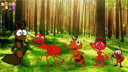 Baby Poems   Gorilla-Sun- Ice Cream- Tennis Ballgs