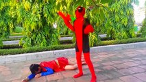 Супергерои Человек-паук и замороженные elsa надпись Аме