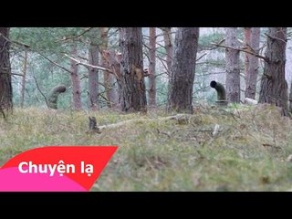 Chuyện lạ có thật - Câu chuyện rùng rợn phía dưới hai ống thông hơi