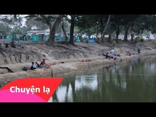 Chuyện lạ Việt Nam - Câu cá ở "cõi âm"