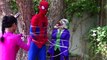 Spiderman & Frozen Elsa vs Giant Ball w/ Catbaby, Catwoman, spiderelsa, cinderella, toilet