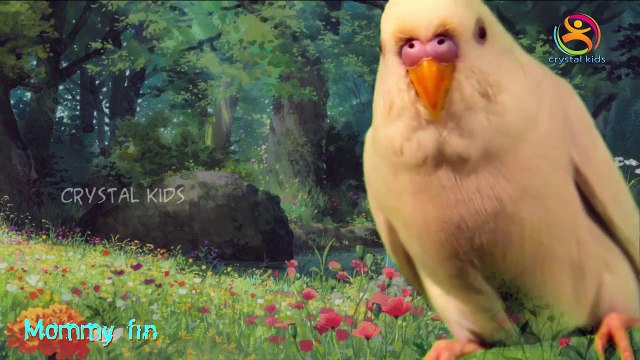 Попугай 3D анимированные стишки для детей | Finger семейные песни для детей