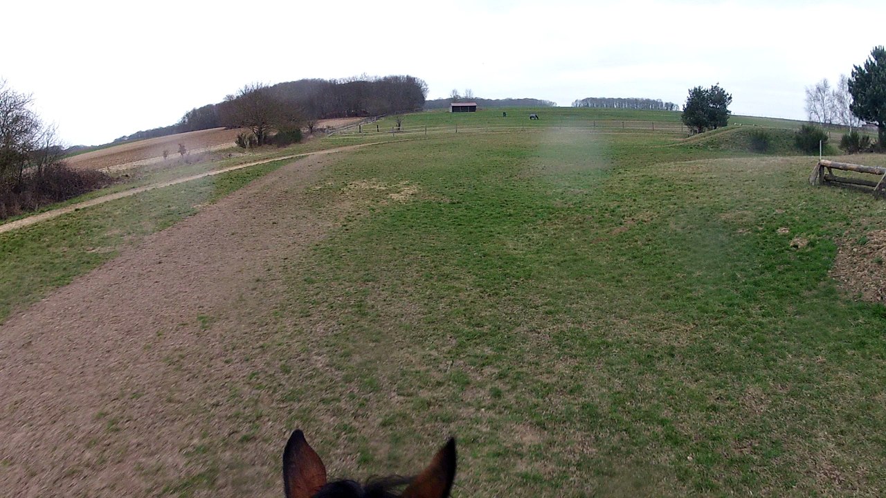 17-02-26 - Team Breucq Cross galop 2