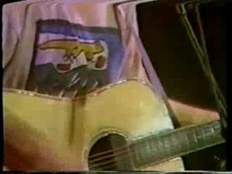 Michael Hedges - Buffalo Stance