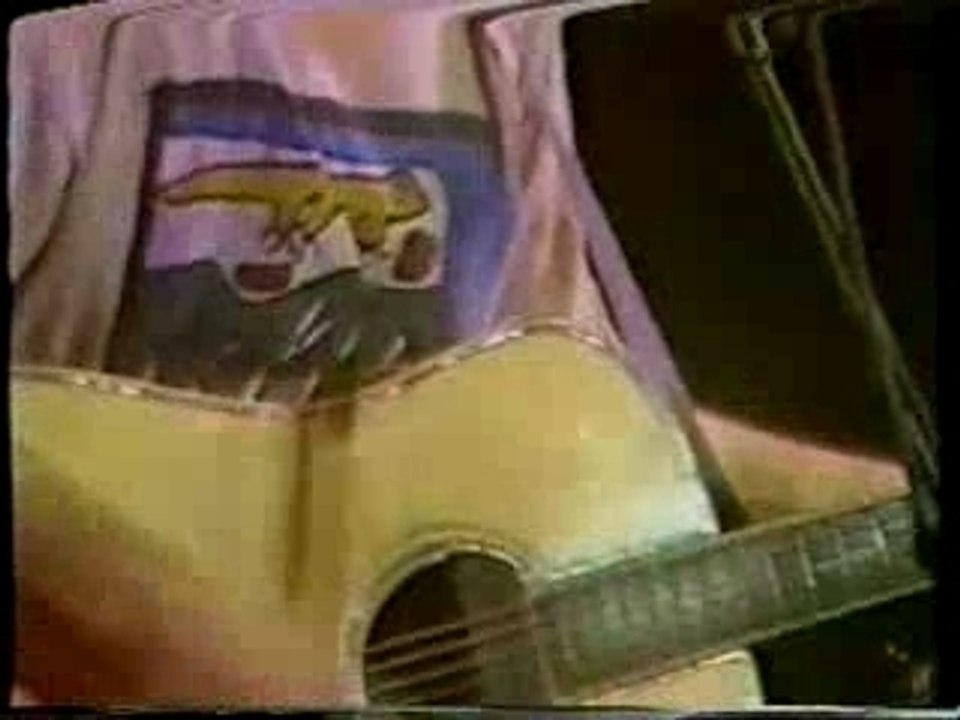 Michael Hedges - Buffalo Stance