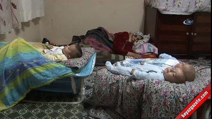Suriyeli ailenin Erdoğan sevgisi, üçüz bebeklerine isim oldu