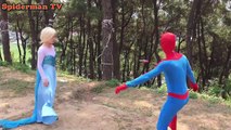 Spiderman Vs Elsa Frozen Going to Fishing Venom Captain American Fun Superheroes in Real l