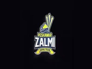 Nargis Fakhri Message For Peshawar Zalmi