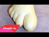 Chuyện lạ Việt Nam – Củ cải khổng lồ hình bàn chân người