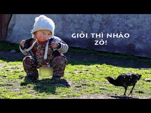 Những hình ảnh hài hước nhất thế giới năm 2015