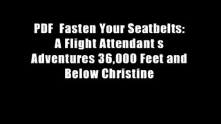 PDF  Fasten Your Seatbelts: A Flight Attendant s Adventures 36,000 Feet and Below Christine