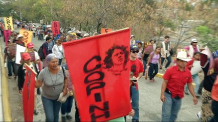 Honduras rally honours murdered indigenous activist