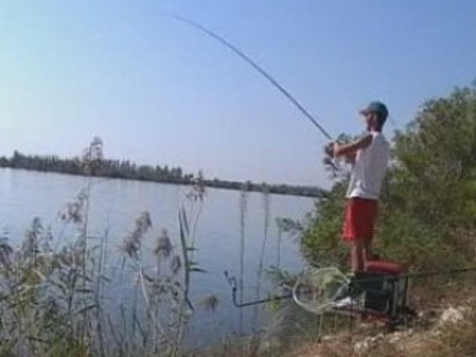 pêche :Le pôle feeder et les amis !!!!