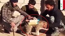 ISIS、子犬を使った爆破攻撃を画策か　イラク