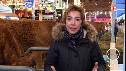 Conso - Les céréales au Salon de l’Agriculture.