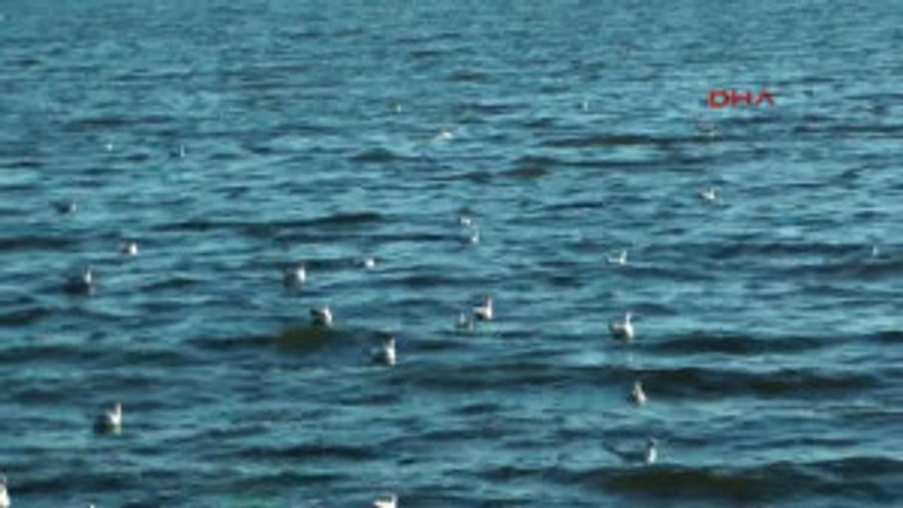 Ankara Buzlu Mogan Gölü 4 Ay Sonra Eridi