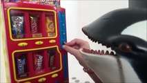 Feeding Sharks & Dinosaurs Candy from a Cool Vending Machine-rXYNI9QAB7o
