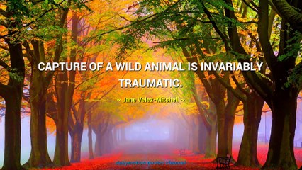 Jane Velez-Mitchell Quotes #1