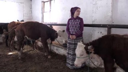 Giresunlu Kadınlar Devlet Desteğiyle Besiciliğe Atıldı