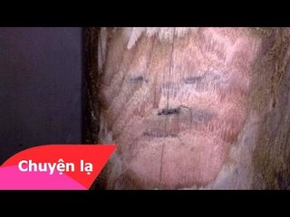 Chuyện lạ Việt Nam – Mặt người nổi trên cột nhà