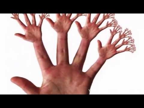 Chuyện lạ Việt Nam - Những hình ảnh khó tin nhất thế giới