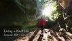 Découvrez la grotte luminescente de Waitomo et ses vers luisants