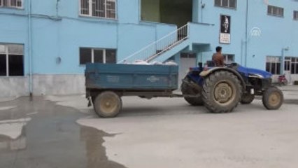 Nabat: "Zeytinyağı Fiyatlarındaki Artış Üreticiyi Sevindirdi"
