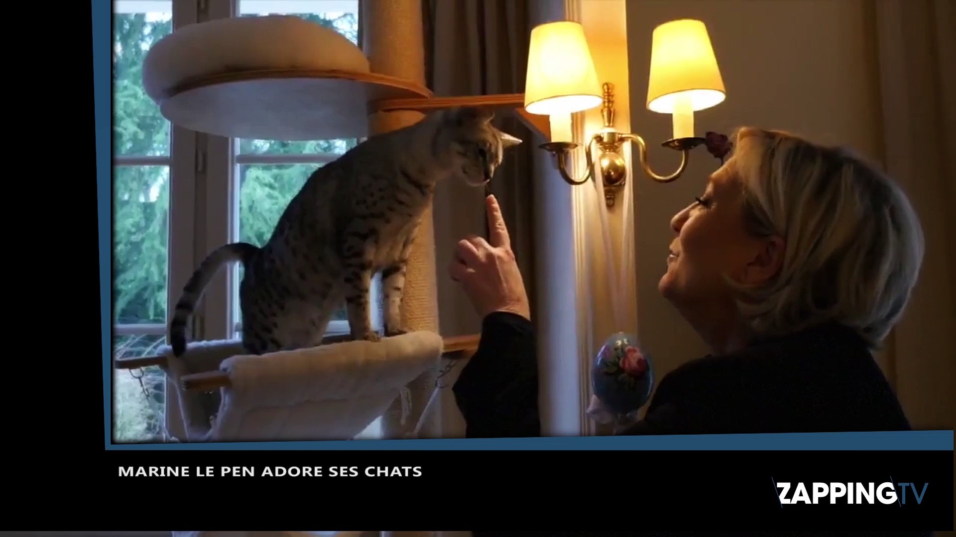 Marine Le Pen Se Met En Scene Avec Ses Chats Sa Video Etonnante Video Dailymotion