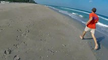 Sauvetage d'un requin échoué sur la plage à mains nues