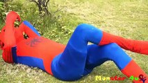 супергероев окончательный Человек-паук Человек-паук против Халка реальной жизни супергероев конечной ¦ Monster4u