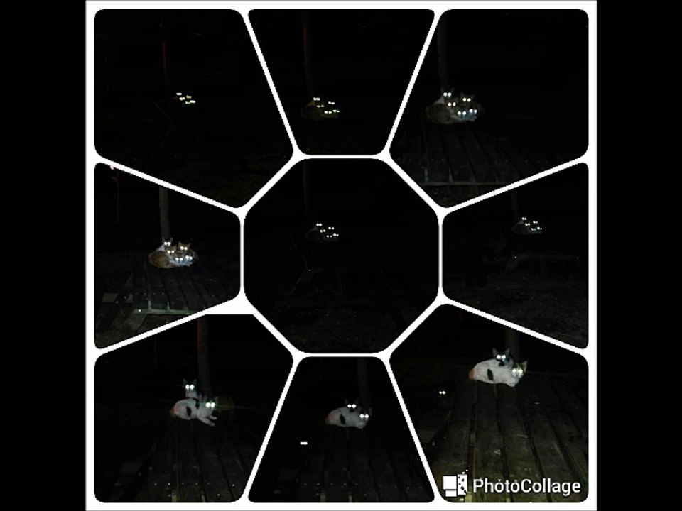 DjBurakUlus - Very Angry Devil Cat (Komik Sinirli Kedi Remix 2011)