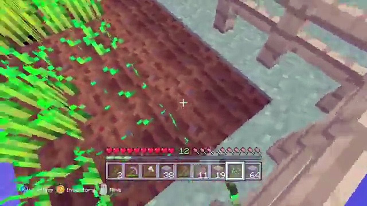 Survivel Live Stream