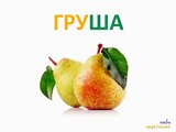 Estudiamos las frutas y verduras. Para los niños en ucraniano