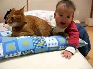 Un bébé qui joue avec la queue de son chat !