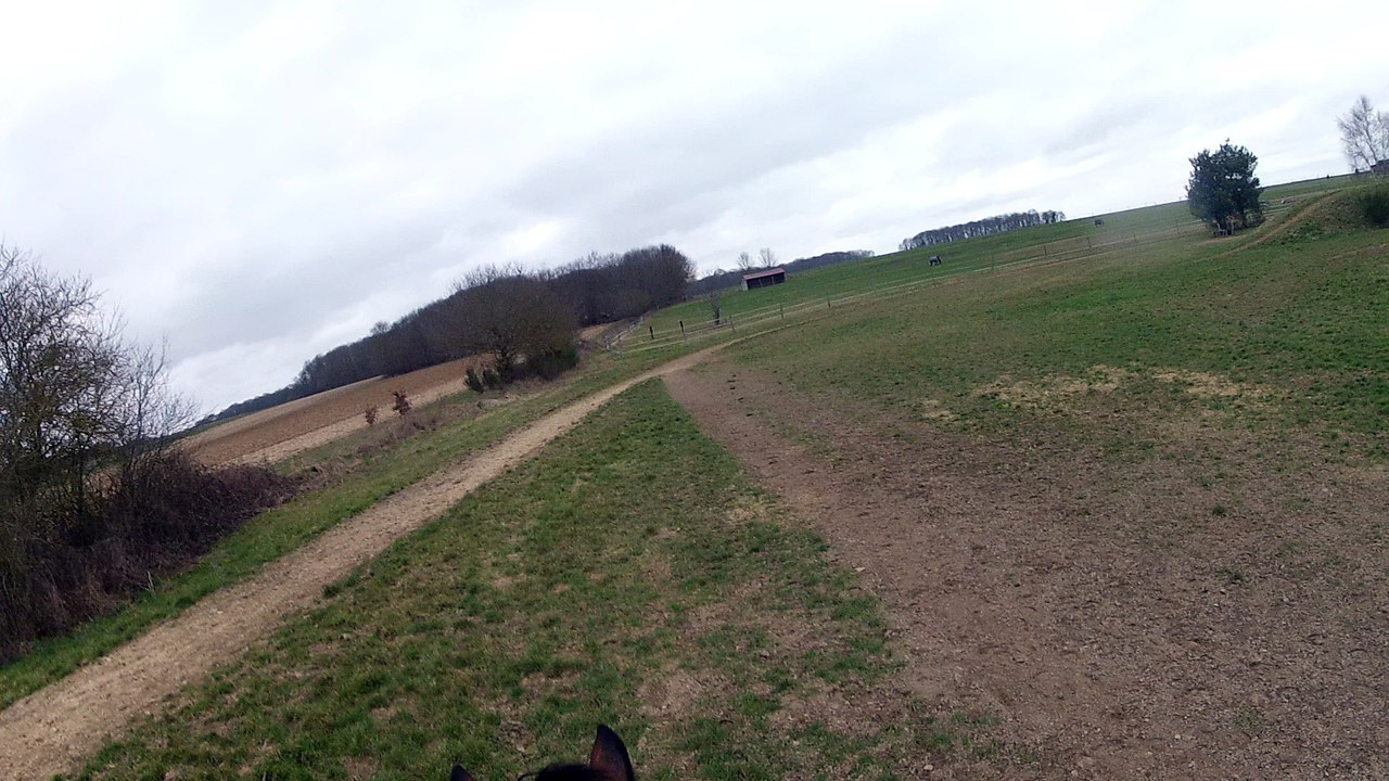 17-02-26 - Team Breucq Cross 1