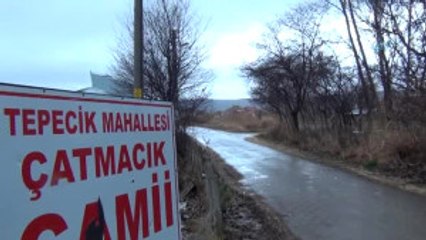 Kütahya'daki Toplu Köpek Ölümleri