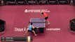 2017 Qatar Open Highlights: Fan Zhendong vs Yuya Oshima (R32)