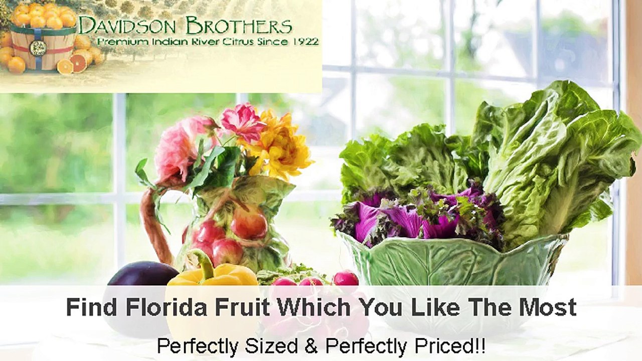 Find Florida Fruit Which You Like The Most