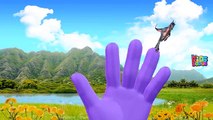 3D Dinosaurs Finger Family Collection | T-Rex Cartoons Short Film | Dinosaur Movies for Ch