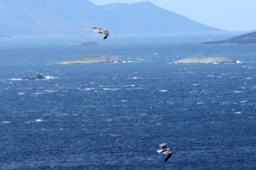 Descargar video: Türk Savaş Gemisini Gören Yunan Savaş Gemisi Kaçtı