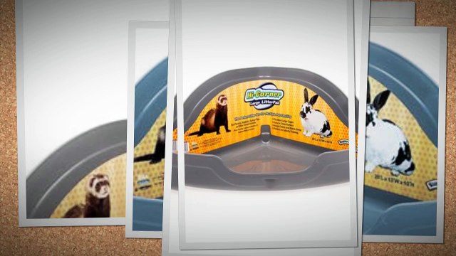 Amazing Cat Litter Boxes Shechosethecat