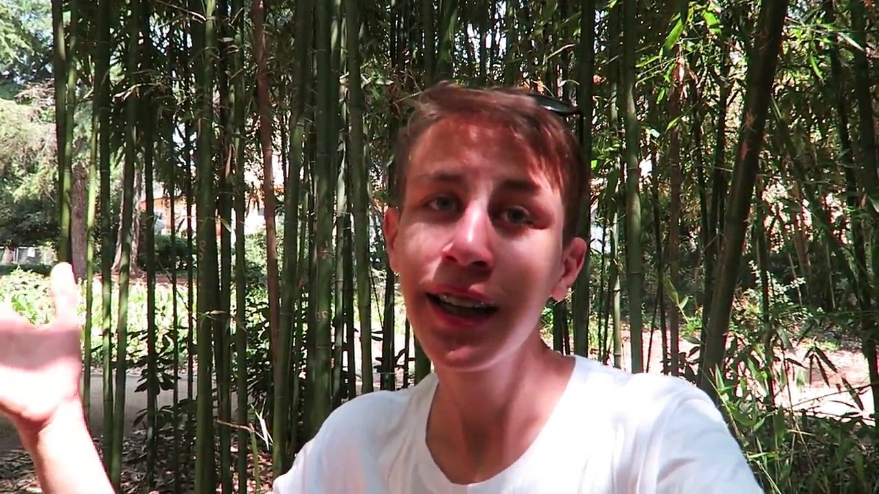 In einem Bambuswald verirrt Barcelona Tag 04