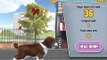 Playstation Vita Pets Launch Trailer HD! CREATE YOUR OWN DOG AND LOOK AFTER IT!