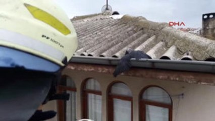 Yalova Çatıda Ipe Dolanan Kargayı Itfaiye Kurtardı